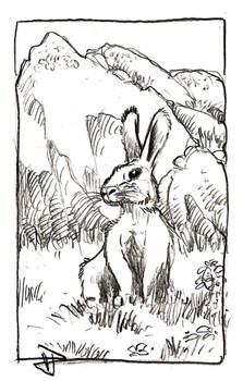 Innocuous Rabbit