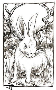 No reason to be wary