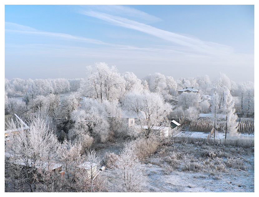 Winter view