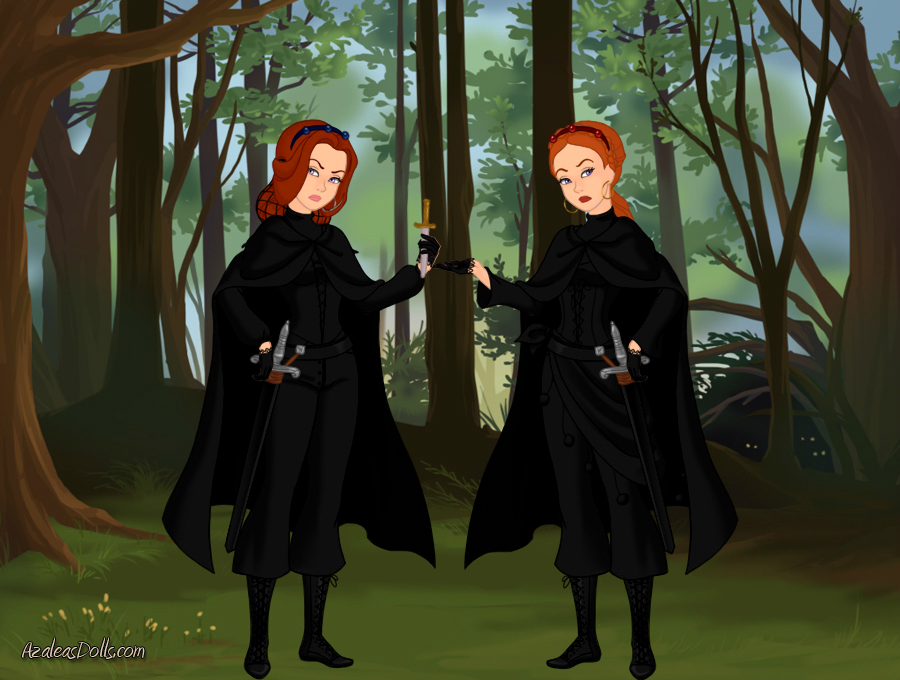 Twin Assassins