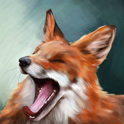 FOX Study 2