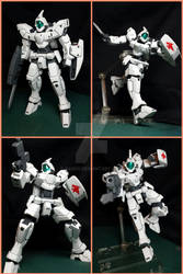 RGE-B790CW Genoace Custom (Gundam AGE)