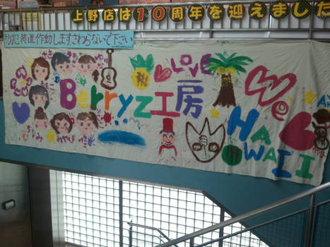 Berryz Hawaii Banner in Ueno