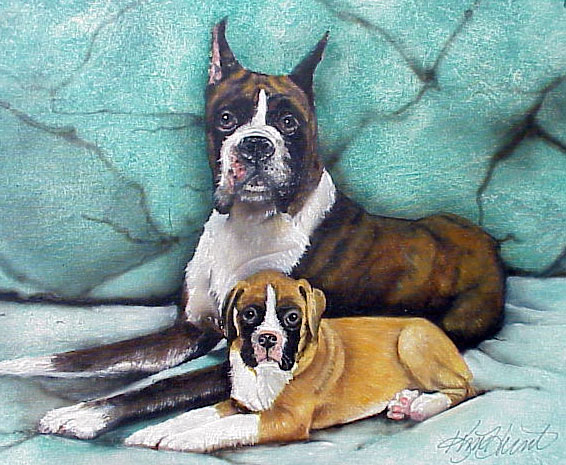 Boxer Dogs