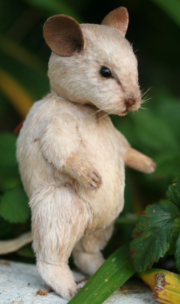 Edward the Mouse by kimbearlys on DeviantArt