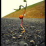 Highway's plant ..