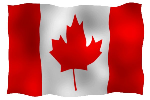 Waving Flag Animation by doctor-diptwit on DeviantArt Waving Flag Animation by doctor-diptwit on DeviantArt