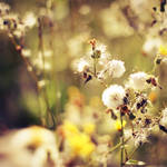 understated by Natasia-L