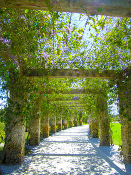 Brisbane Walkway