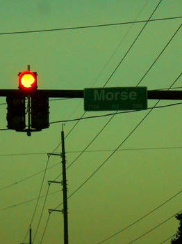 Morse