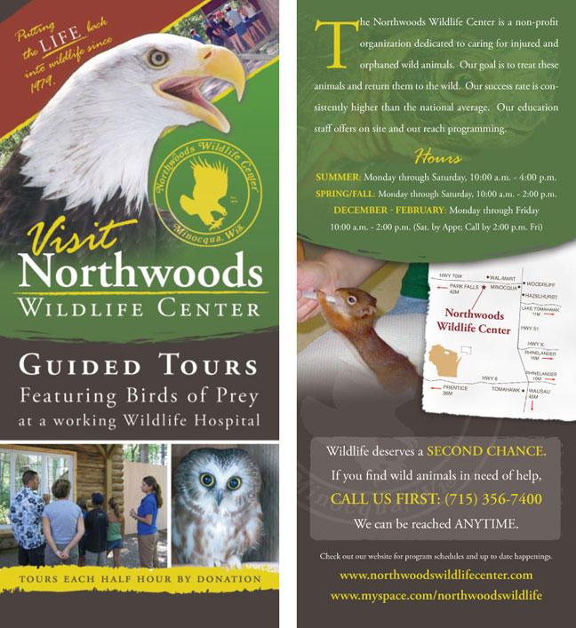 Birding Rack Card Northwoods Wildlife Rack Card by IanFarb on DeviantArt
