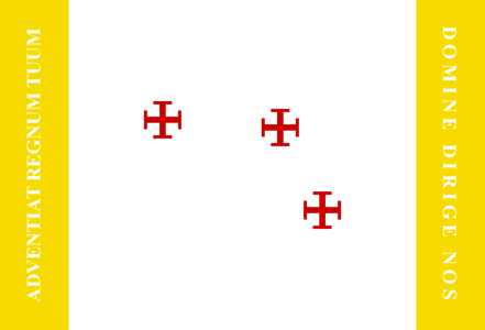 Catholic Flag