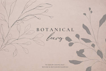 Botanical leaves   sketched florals