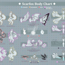 :: Scarfox Body Chart ::