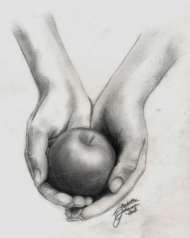 Sketch Of Twilight Cover By Bluesun-Sketches On Deviantart
