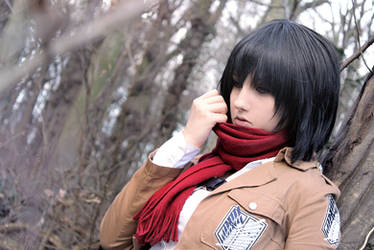 Mikasa Ackerman - withdrawing deep into the hole