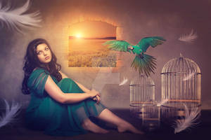 Freedom Photo Manipulation