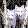 Wolf Mates