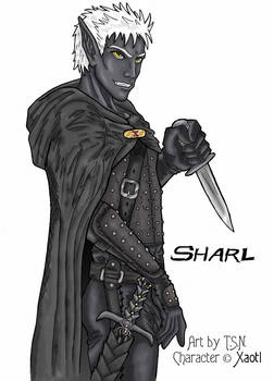 Xaotl's Character Sharl