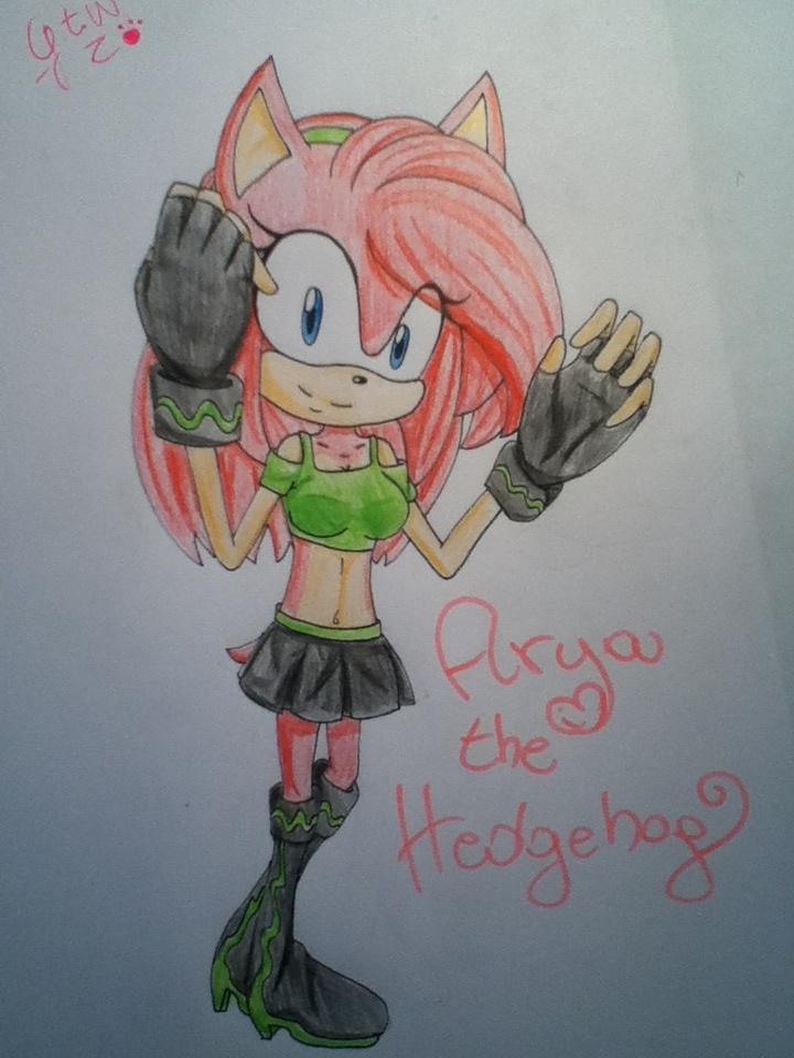 The final- Arya the Hedgehog