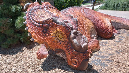 Pachyrhinosaurus in Zoo Knoxville