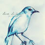 Blue Bird