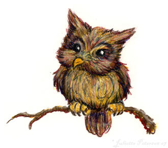 Owl