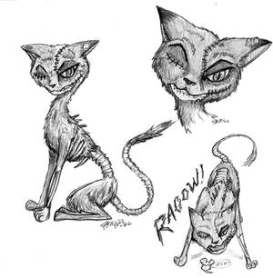 Zombie Cat Drawings