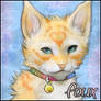 Foux Icon