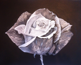 Black and White Rose in Acrylic