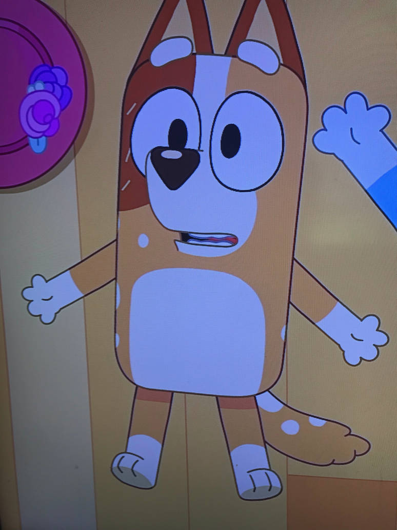 Chilli Heeler Feet 3 by TyParrish on DeviantArt