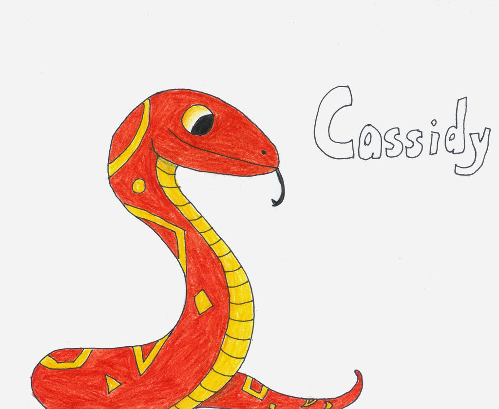 Adopt - Cassidy The Sun Snake