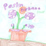 Posin Pirhana Plant