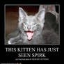 The Spirk Kitten