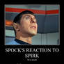Spock and Spirk
