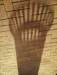 Shadow on Brick