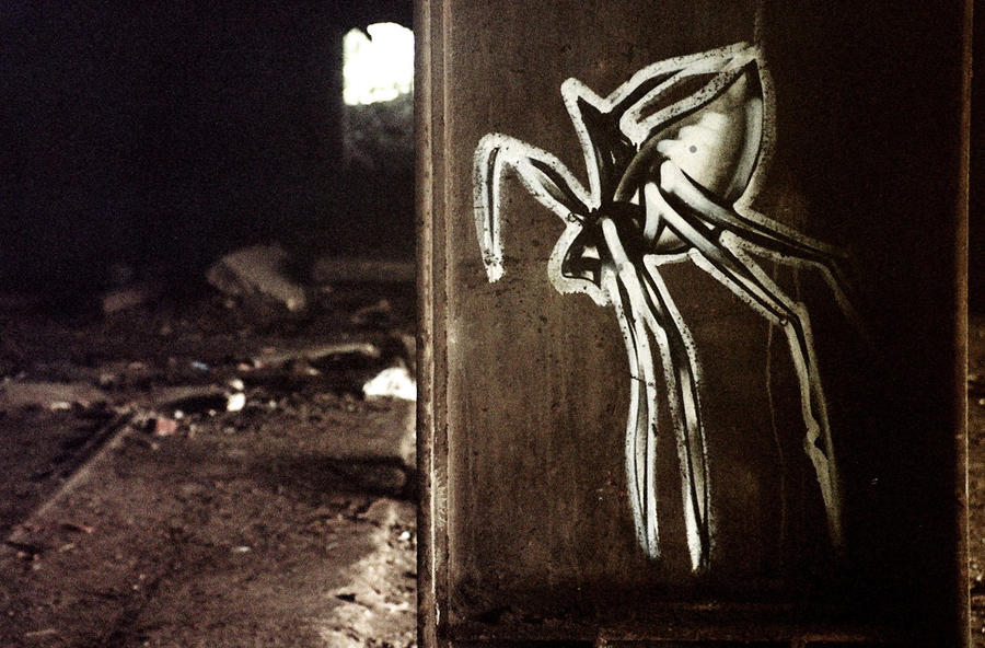 Spider by pacifier75 on DeviantArt