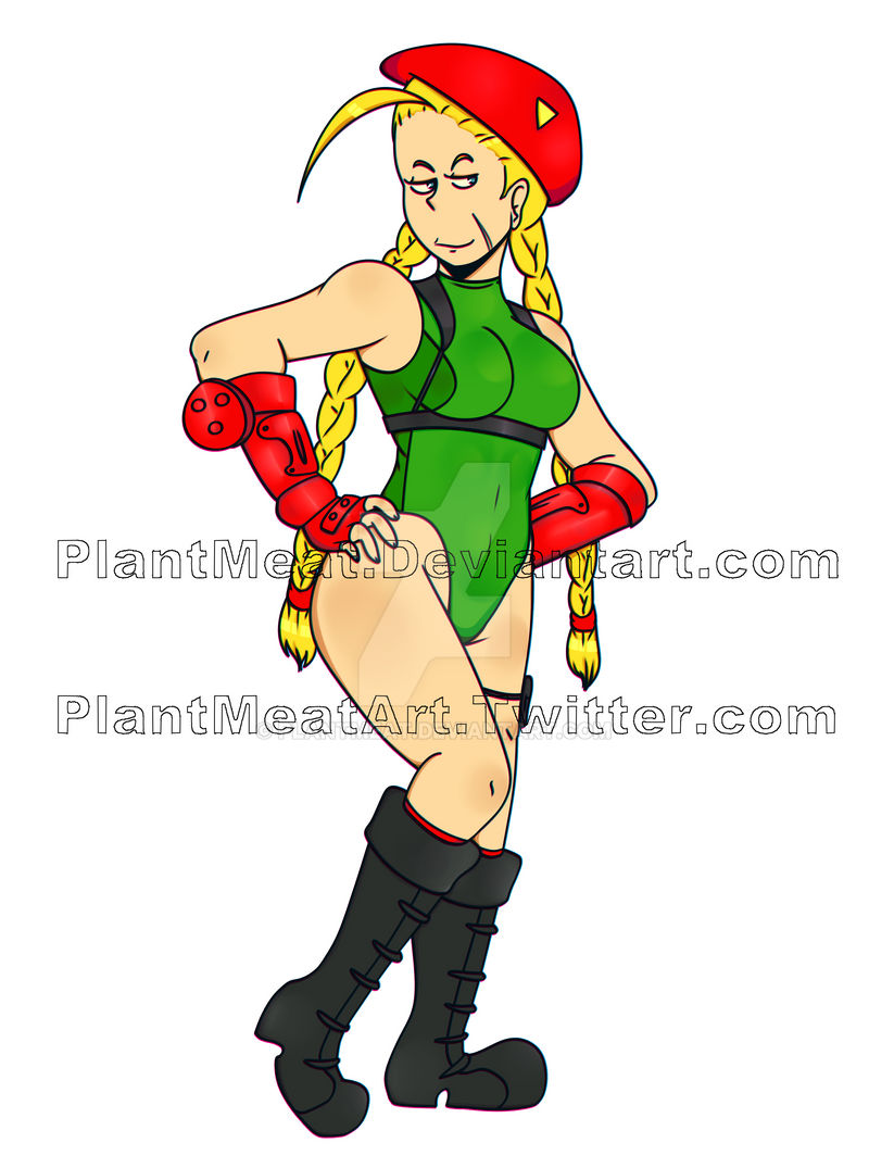 cammy white and patty fleur (street fighter and 3 more) drawn by