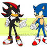 Sonic the hedgehog and Shadow the hedgehog