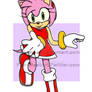 Sonic Series: Amy Rose