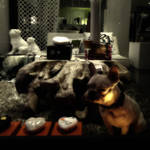 The Styx by djailledie