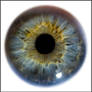 Iris Eye Macro Stock