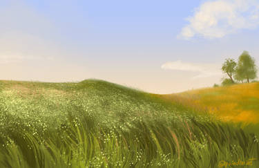 Landscape study