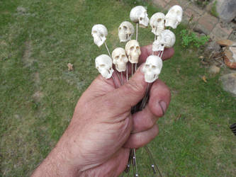 Carved Skull hatpins carved of antler