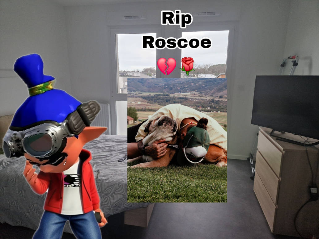 Rip Rpscor Rip Roscoe the dog of Hamilton. by clotnic on DeviantArt