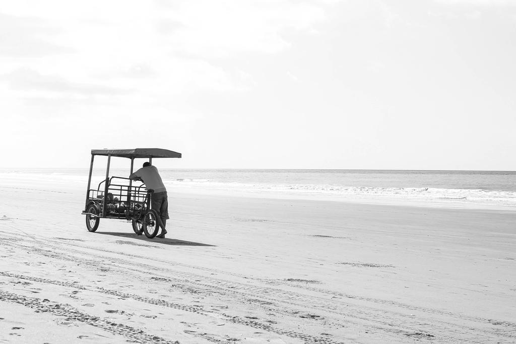 Morning in the beach