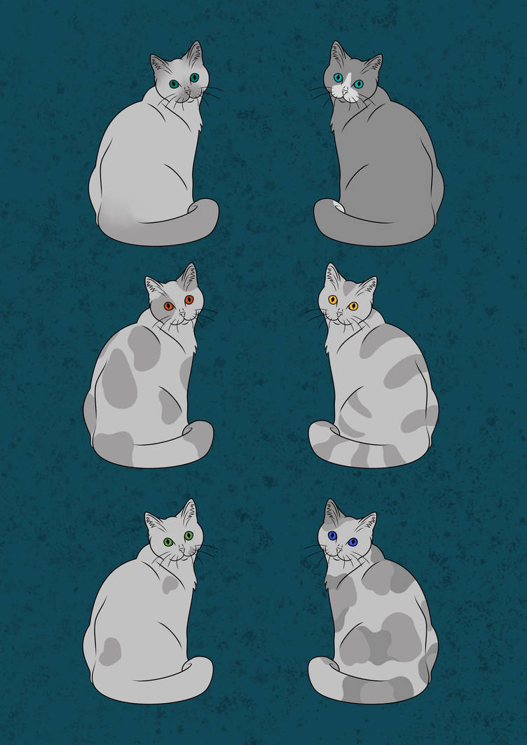 Cat patterns by EffectivelyWeird on DeviantArt