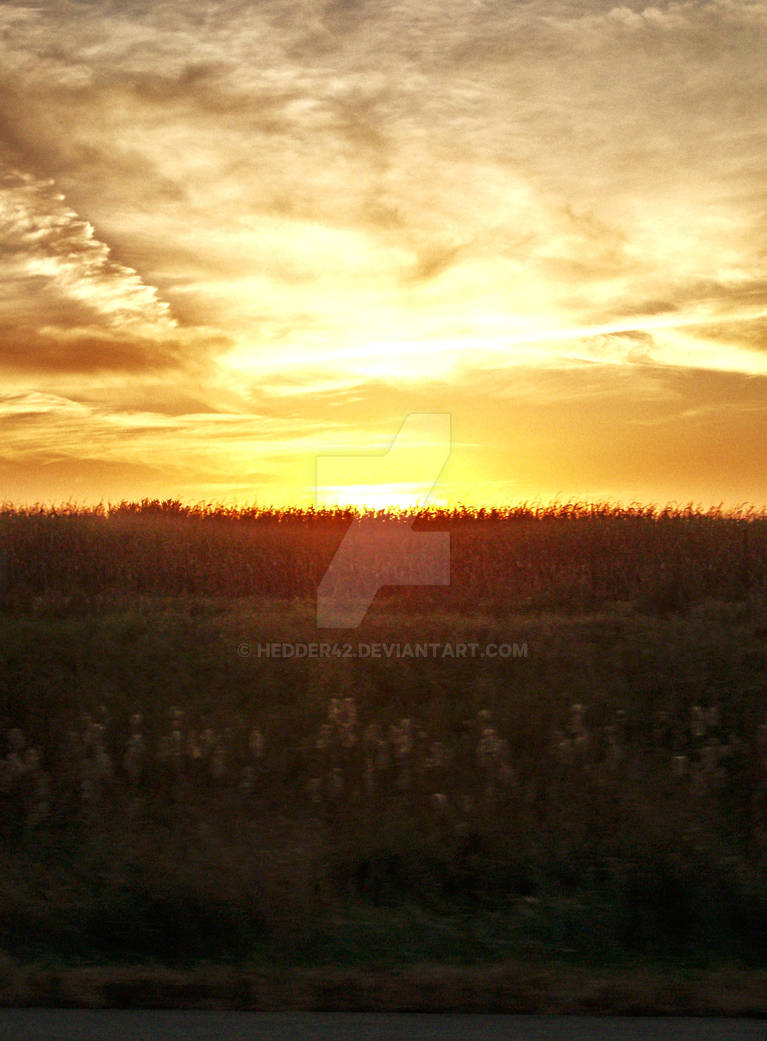 Lit field by hedder42 on DeviantArt