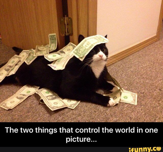 Random Meme 1 Cat Meme W Money 5 By Inexorablewinter On Deviantart Random Meme 1 Cat Meme W Money 5 By Inexorablewinter On Deviantart