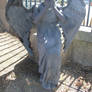 Weeping Angel 2